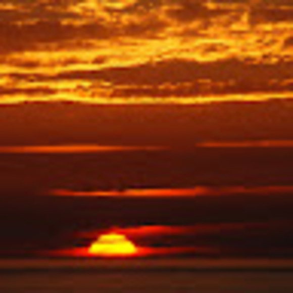 Meet your Posher, Madison - Picture 1 of 1